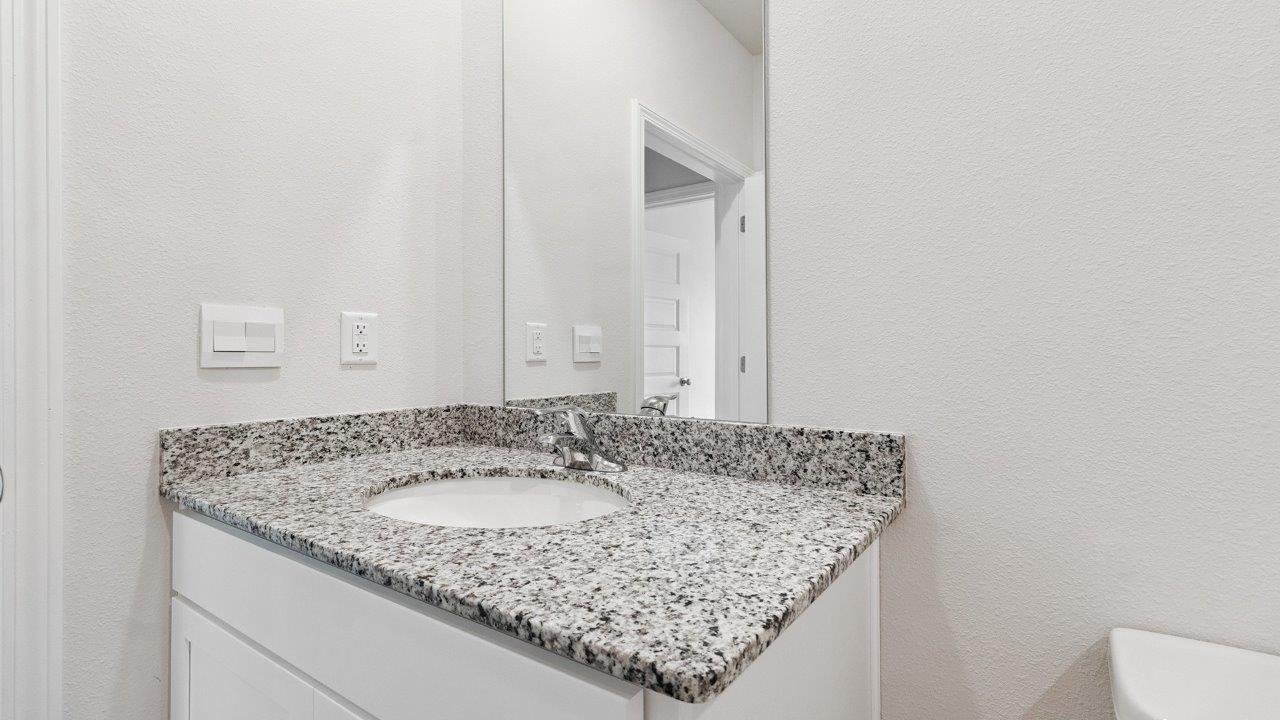 13_171_needle_thrush-13 (1)