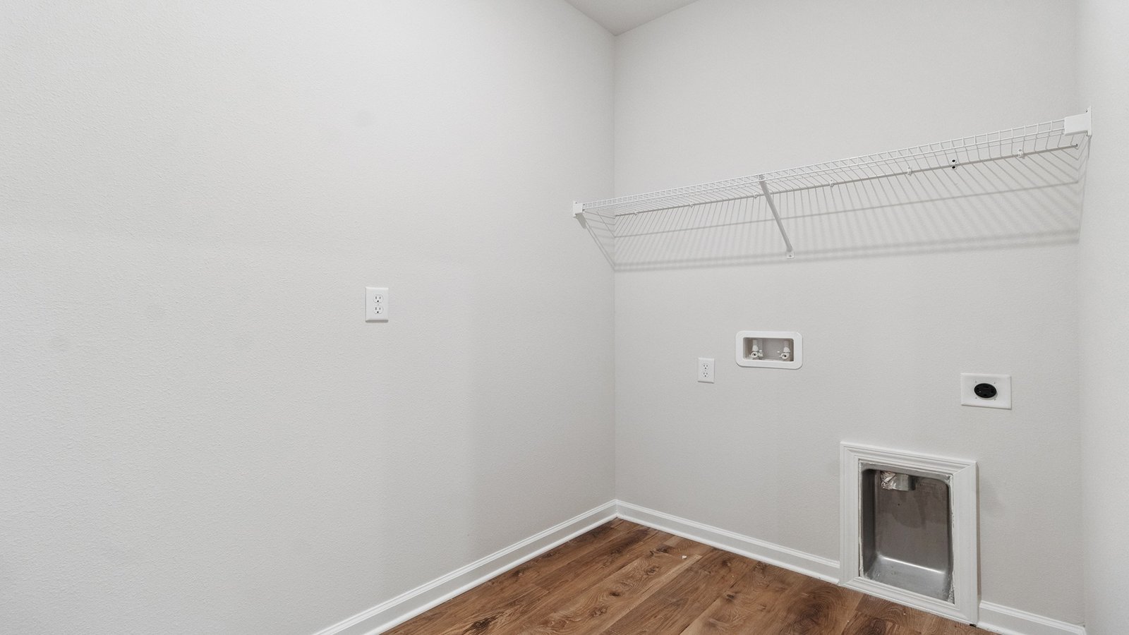 14_171_needle_thrush-14 (1)