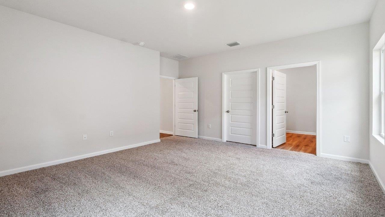 30_171_needle_thrush-27