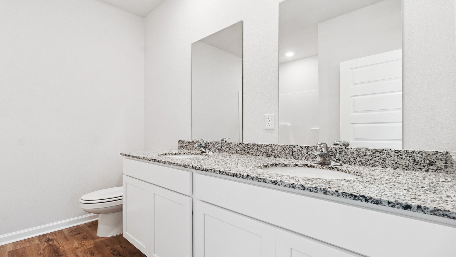 31_171_needle_thrush-28